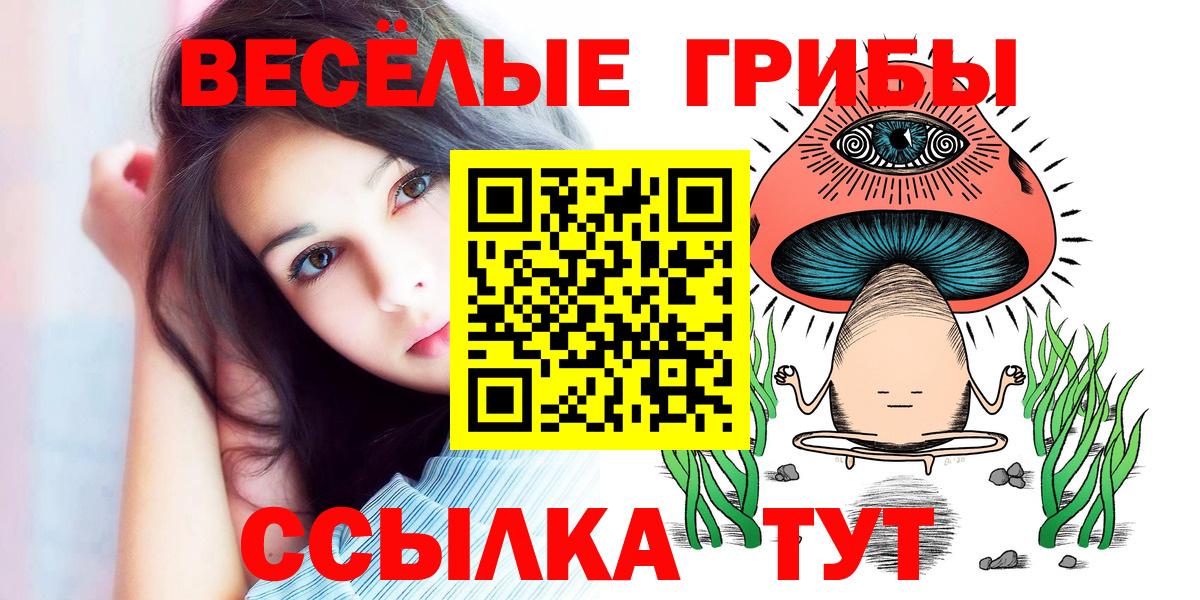 Псилоцибиновые грибы прущие грибы Корсаков