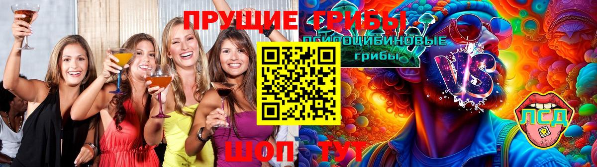 Корсаков  Галлюциногенные грибы ЛСД  Вход с VPN 